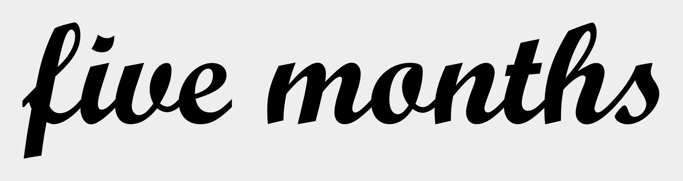Script MT Std Bold