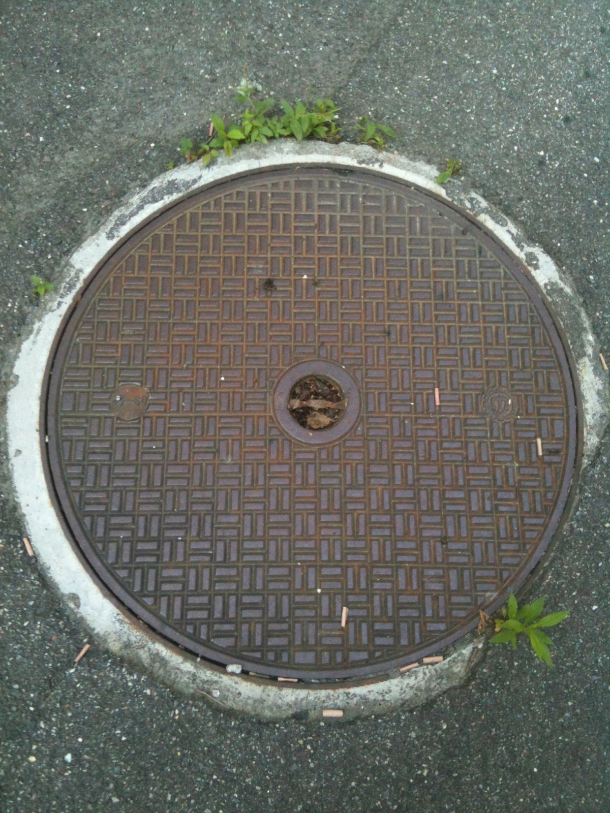 11kck6h.jpg