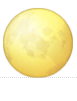 1F315.png