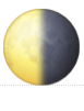 1F317.png