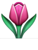 1F337.png