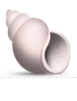1F41A.png