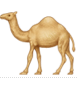 1F42A.png
