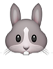 1F430.png