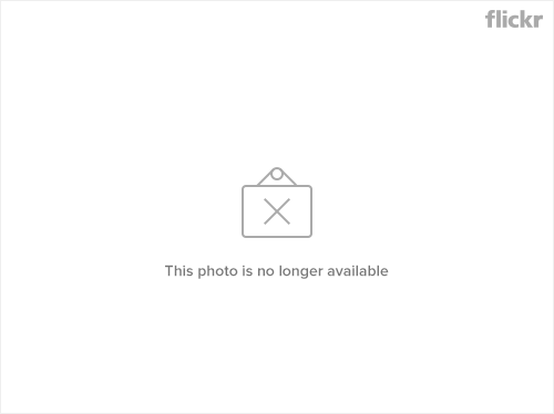 2080103905_0017d3d105_m.jpg