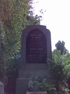 255nvrp.jpg