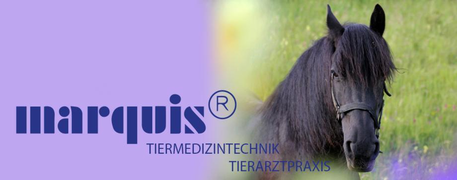 emotionheader.jpg?1539243676.920px.364px
