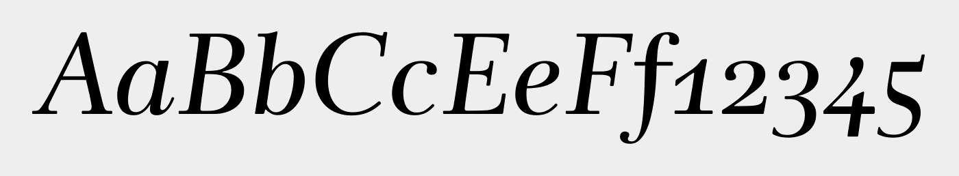 Rabenau+Pro+Book+Italic