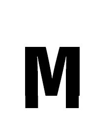307x36s.jpg