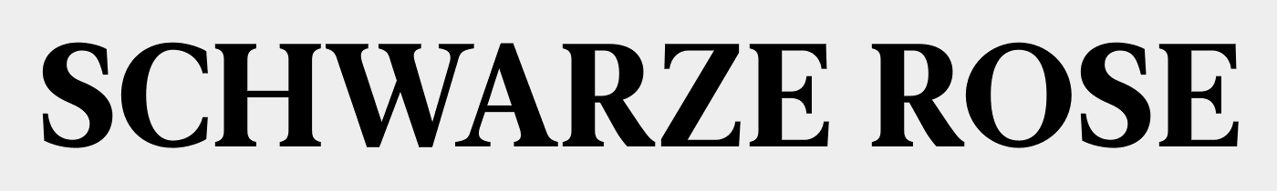 Leitura News Roman 4