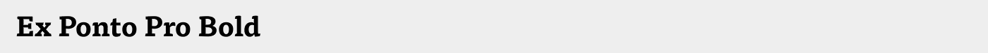 Ex Ponto Pro Bold