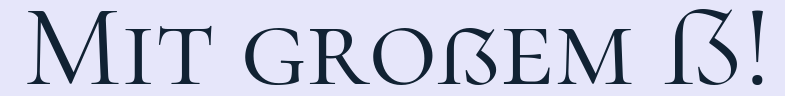Mit%20gro%C3%9Fem%20%E1%BA%9E!.png