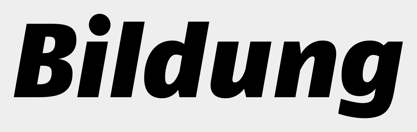 FF Fago Pro Black Italic