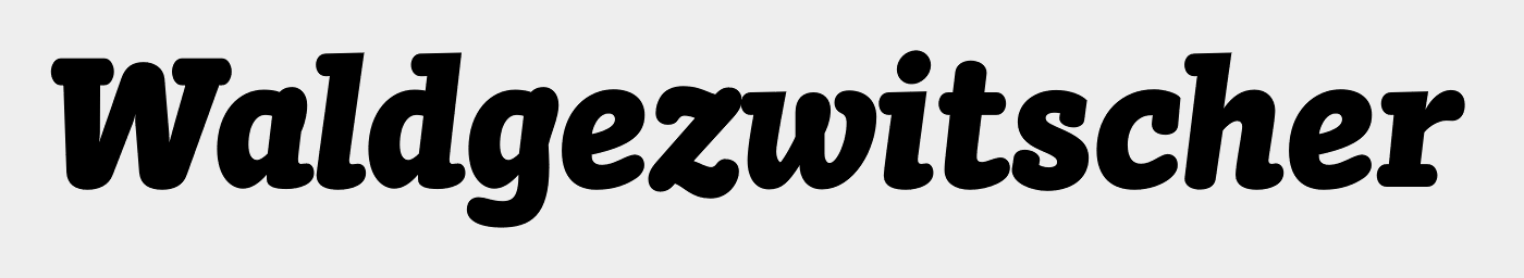 FF Suhmo Std Black Italic