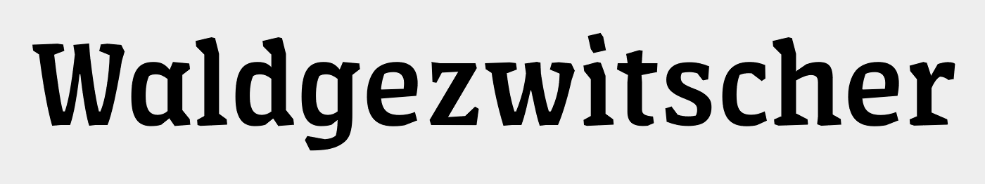 FF Amman Serif Pro Medium