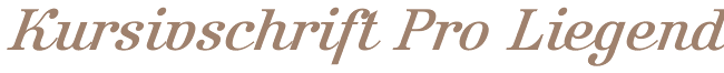 index.php?id=80433&text=Kursivschrift Pr