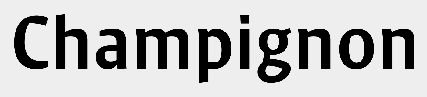 Klaus+FY+Bold