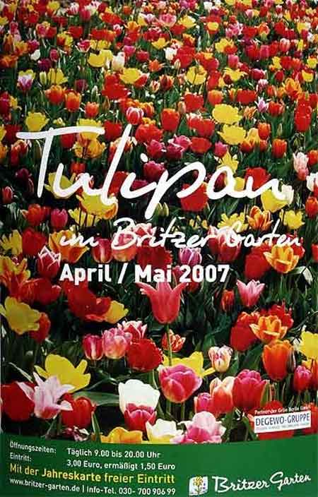 IMG_2878_Plakat-Tulipan_2007.jpg