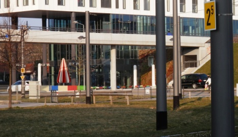 P3133609ss.jpg