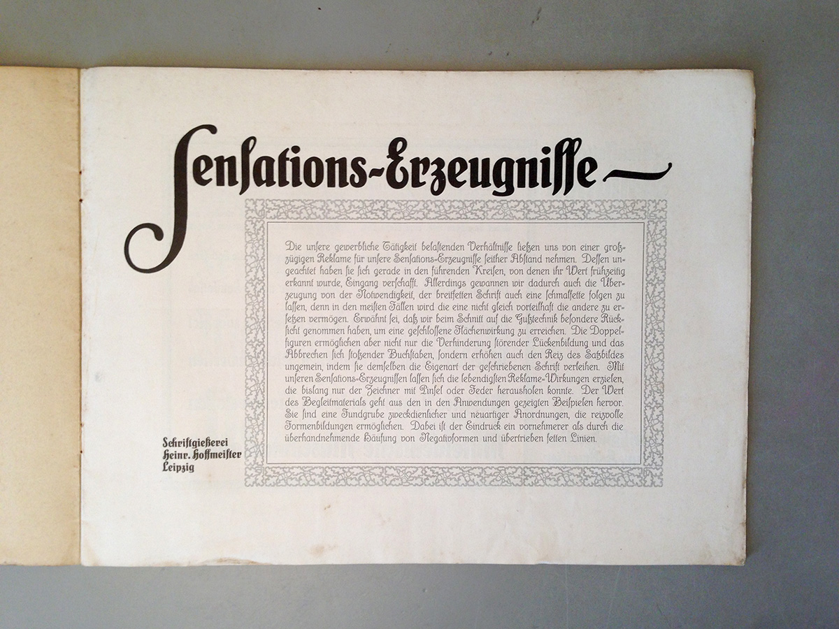 SchmalfetteSensation_02.jpg