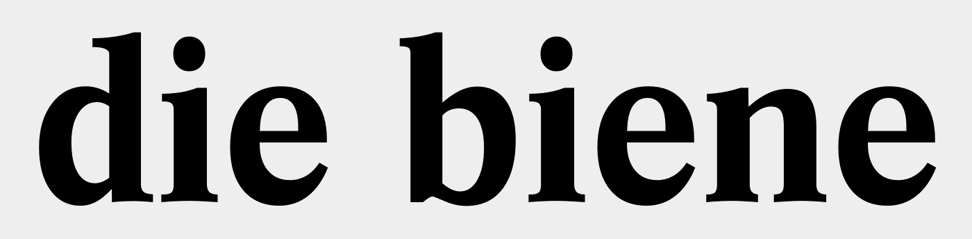 Dutch 809 Bold
