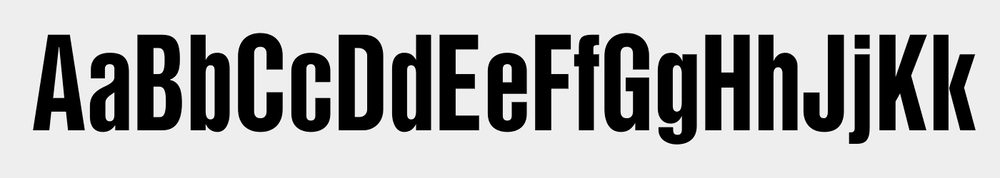 Newhouse DT SuperCondensed Bold