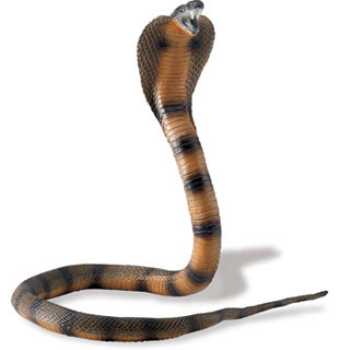 cobra-toy-snake-posable.jpg
