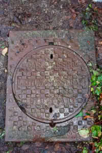 dzi983.jpg