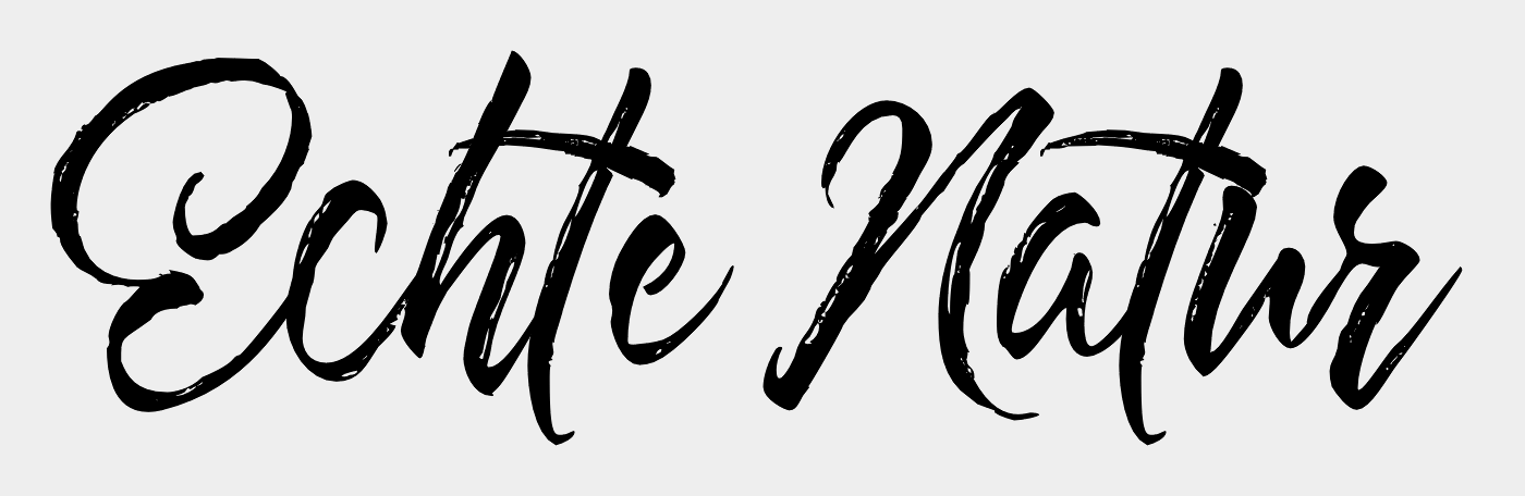 Hayne Script Regular