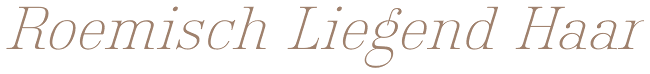 index.php?id=5687&text=Roemisch Liegend