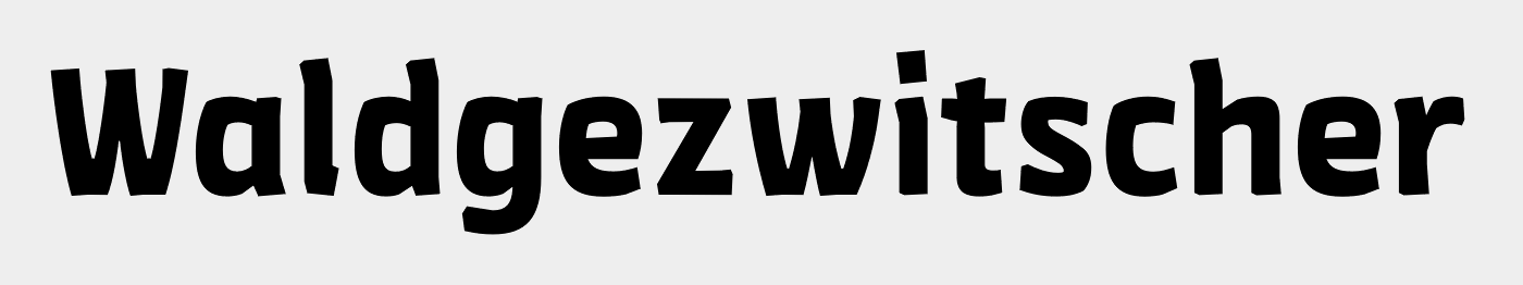 FF Amman Sans Std Bold