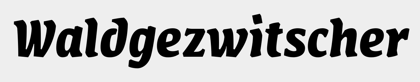 FF Amman Serif Std Bold Italic