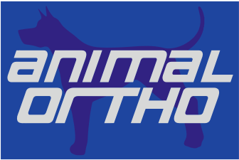 logo@3x.png