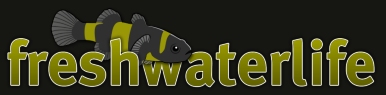 logo_new.jpg