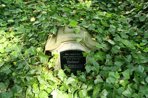 td-41-8172_scaled.jpg