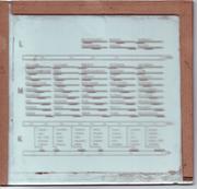th_080948876_Skalagro_122_256lo.jpg