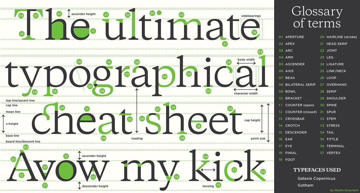 typography_series___01___anatomy_of_typo