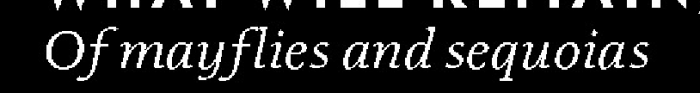 post-23922-0-00766800-1372155731_thumb.p