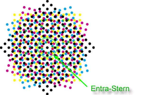 entrastern.png.719cb4cf4095f5257a09ddaf859df7bd.png