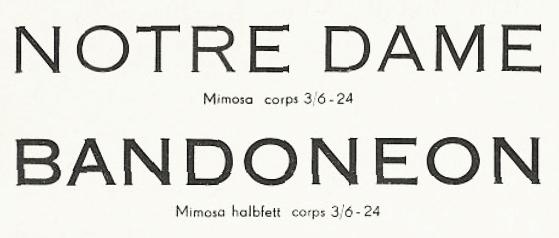 Mimosa.jpg.58ccc67b34ed412adcddafcca99b6944.jpg