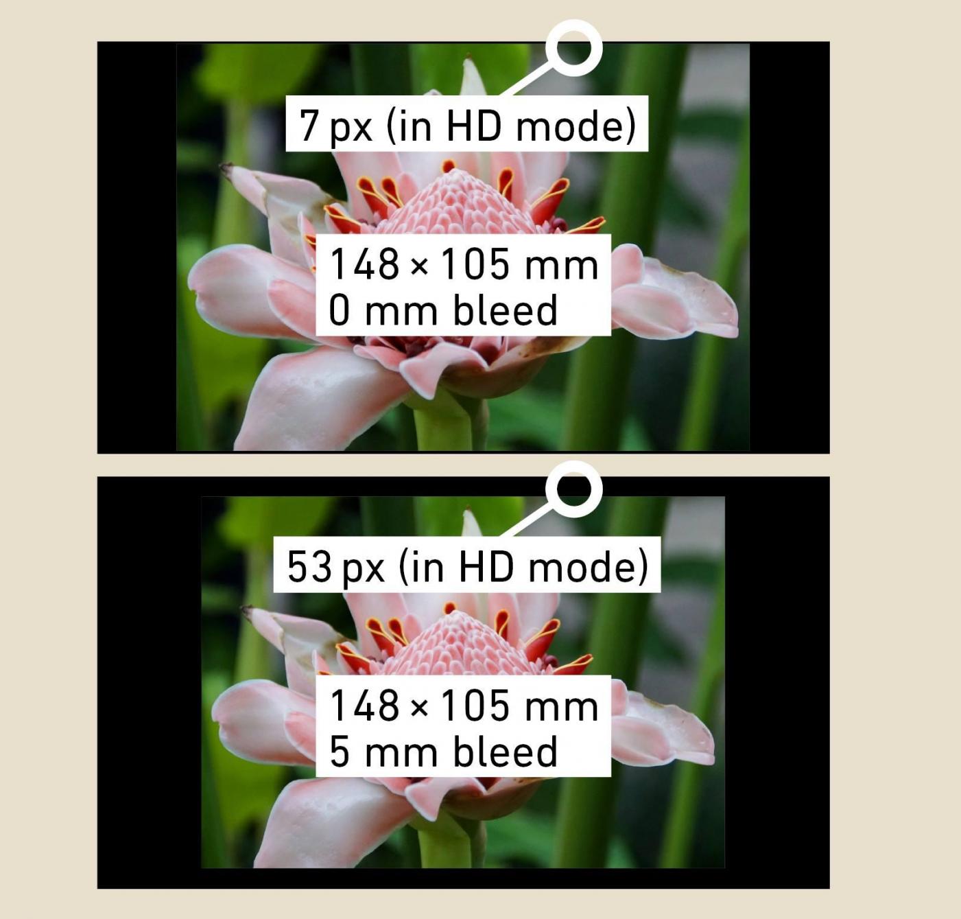 Indesign-Präsentationsmodus-Anschnitt.jpg