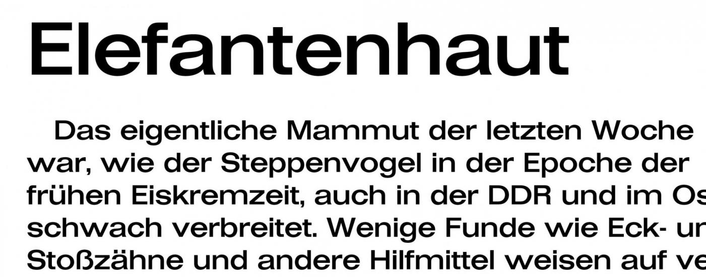 Z - Schrift Folio.jpg