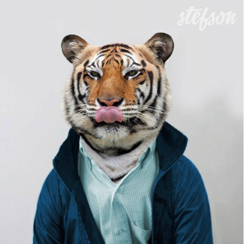 stefson