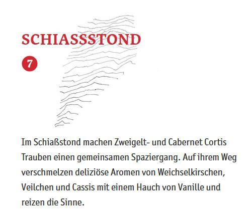 schiass.jpg.aaec3eabf0399cbaeff95ce37e22edd8.jpg