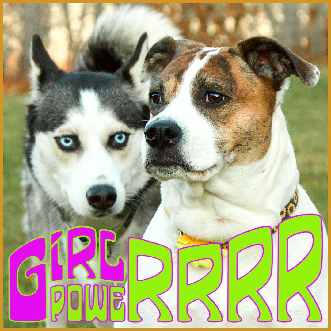 GirlPower.jpg.5997dd02527354a84b85b9c9f2f02153.jpg