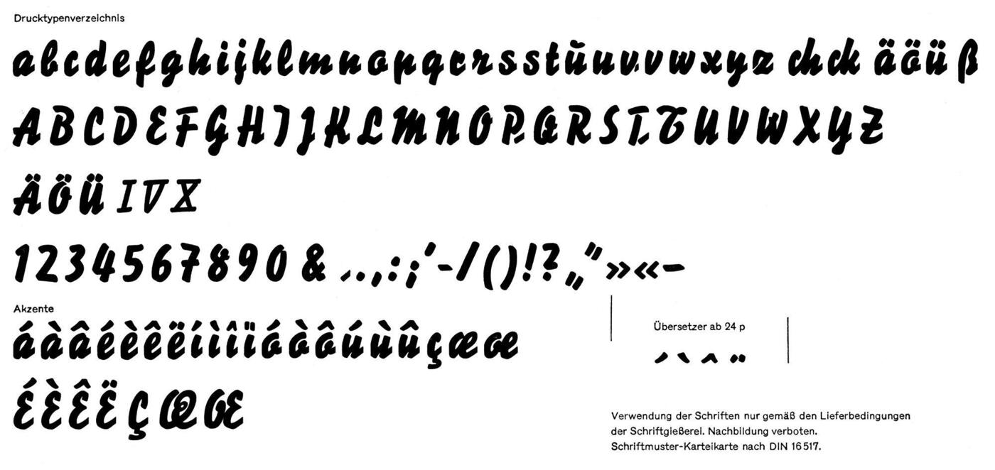53152333775_dd4fa47f62_o.jpg