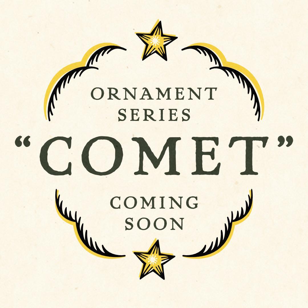 comet_01.jpg.b48f5314e7e70e0f053db5d79734f8fb.jpg