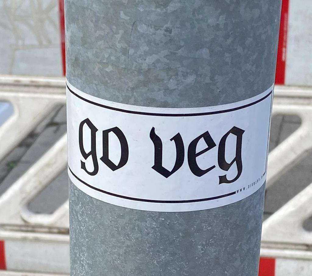 viva veganista.jpg