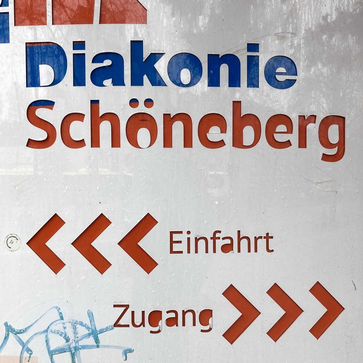 Wanderpunze_quadrat_01.jpg.a2bbe07853147560e568b7a05954ec5d.jpg