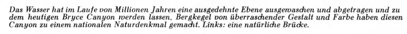 Z - Was ist was Textschrift--.jpg